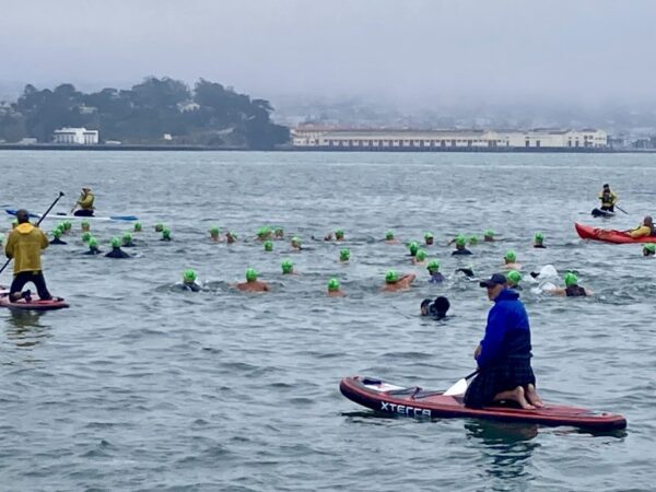 Team Hydro swimming from Alcatraz
