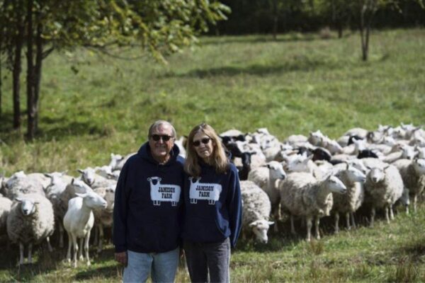 Sheep and us 2017 Hi res