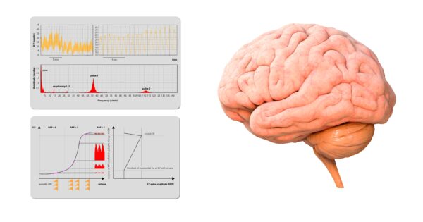 shutterstock 2046727904