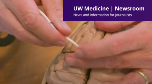 In The News Article 514x286 1 1