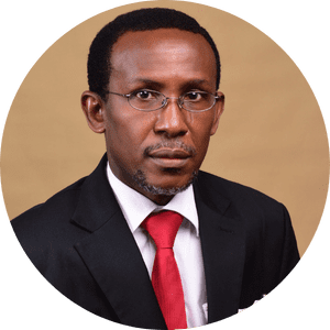 Prof. Idowu Emmanuel Olufemi scaled 1