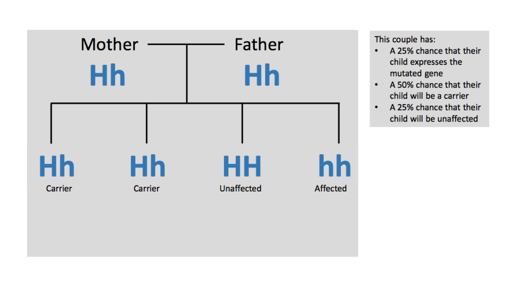 Screen Shot 2017-02-01 at 3.24.14 PM