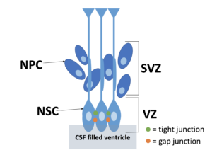 Screen Shot 2017 09 14 at 11.10.55 AM