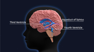 Screen Shot 2017 10 13 at 2.10.59 PM