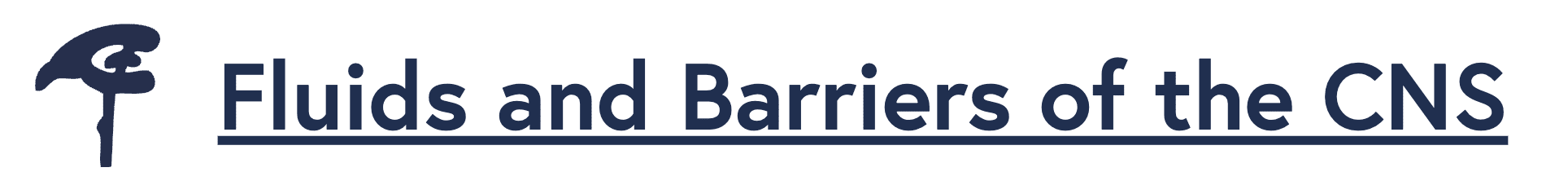 Screenshot 2025-01-15 at 2.55.56 PM