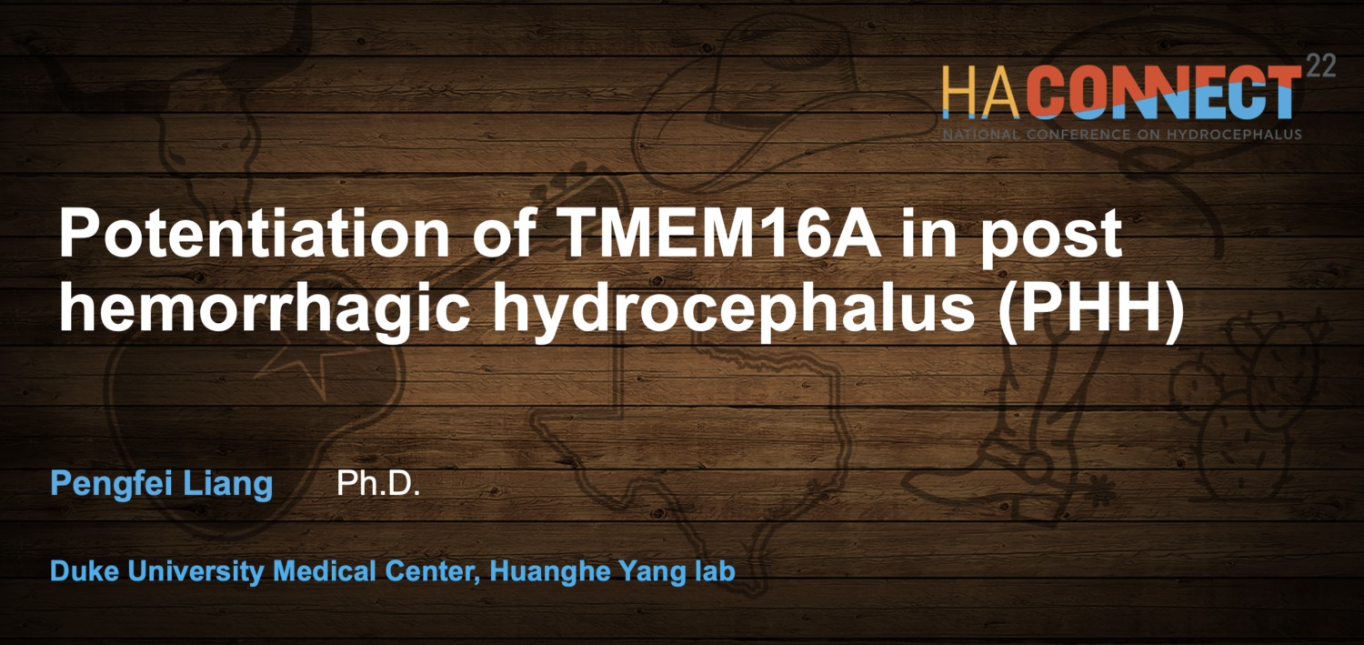 Screenshot 2025 02 18 at 15.32.50