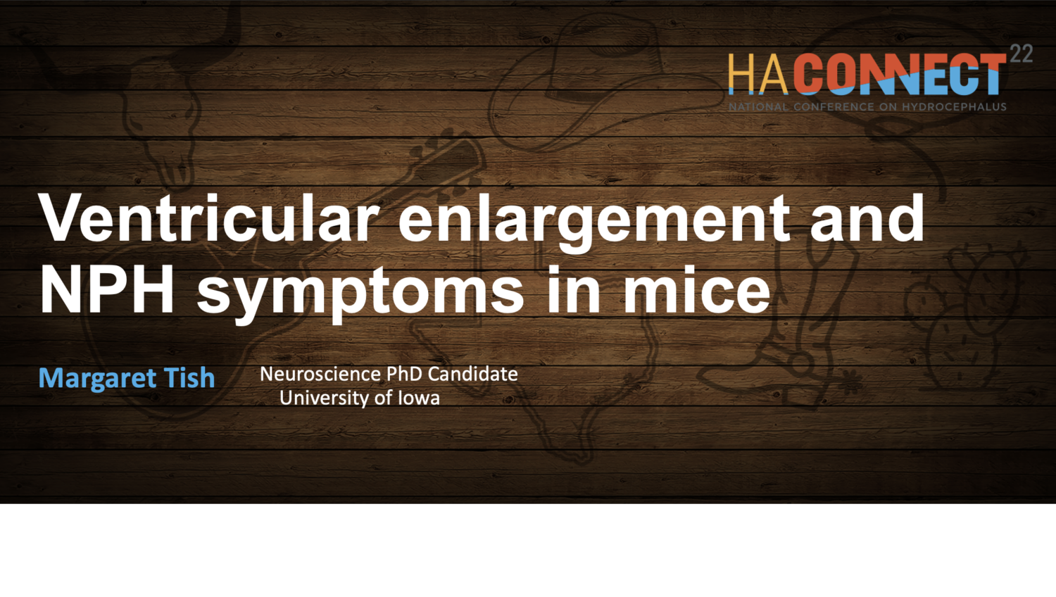 Screenshot 2025 02 18 at 15.34.39