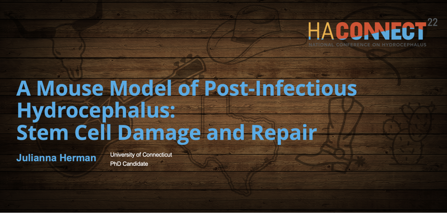 Screenshot 2025 02 18 at 15.37.37