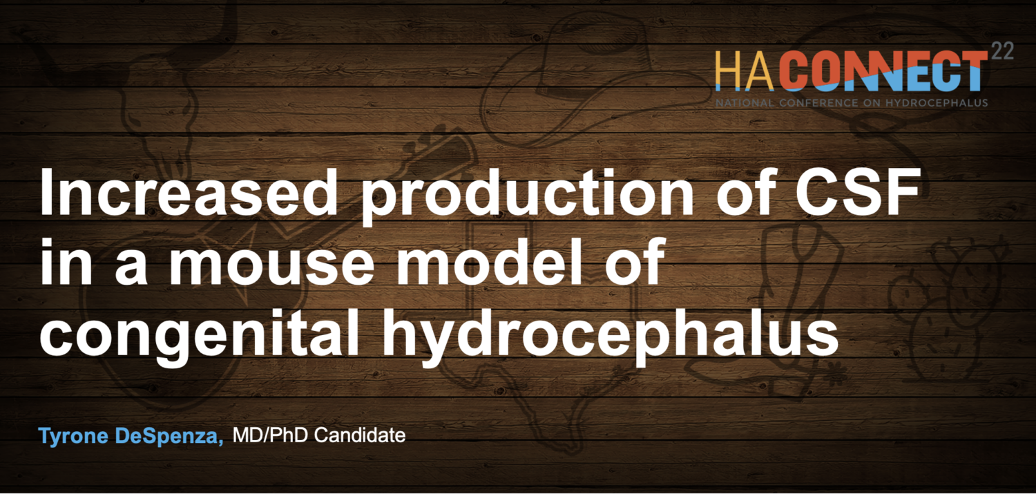 Screenshot 2025 02 18 at 15.47.58